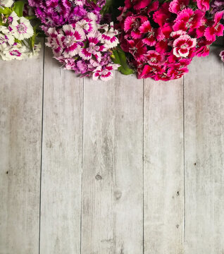 Sweet william flowers on wooden surface shot from above. Top view, flat lay, copy space. Greeting card, Mother's day and Valentine's day concept.