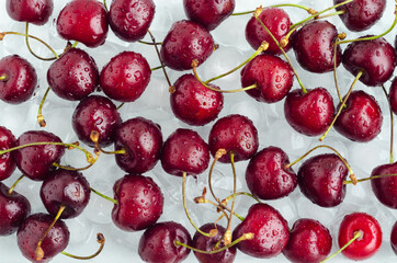 sweet cherry on ice cubes. fresh chilled seasonal berries. summer background. top view