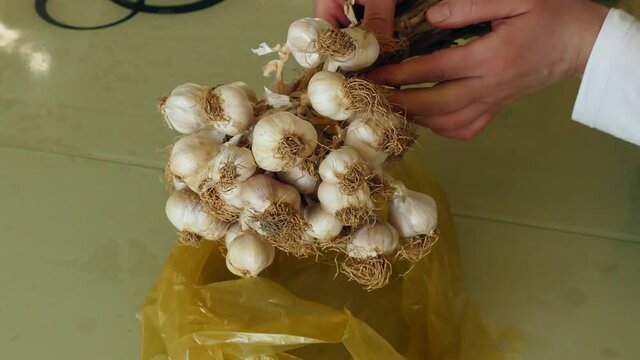 natural garlic, 1 kg dry garlic with stems,