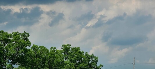 clouds over the forest