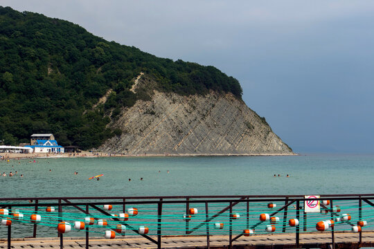mountain hedgehog beach Arkhipo-Osipovka