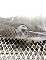 close-up of gel ball on feather