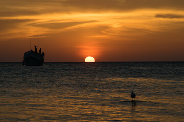 Fototapeta premium sunset with boat and bird