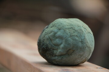 moldy orange