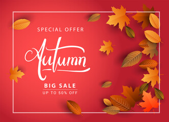 Autumn Sale Background, Hand Drawn Autumn calligraphy with falling leaves, Web Banner, shopping sale or seasonal poster, Postcard and Invitation card. Vector illustration