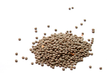 Lentils isolated on white background . bean. soy
