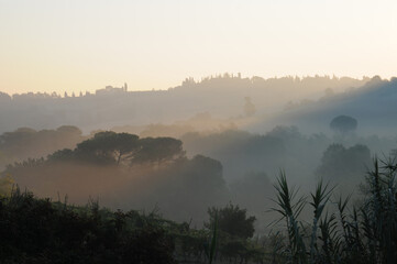Early morning sunrise in the undulating Tuscan hills, Italy