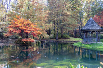 Gibbs Garden, Ball Ground, GA/USA - 11/04/2018 - Colorful trees reflecting off the water in autumn.