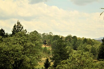 En el monte (Camp, Forest, Country)