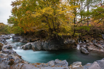 Waterfall in autumn forest in Nikko, Japan