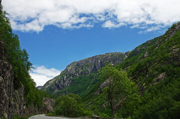 Naklejka premium NORUEGA