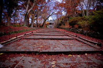 古都と紅葉