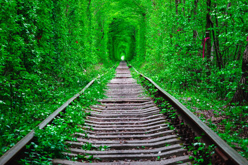 a railway in the spring forest tunnel of love