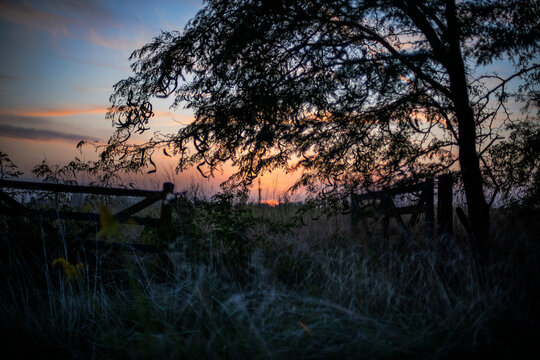 Atardecer en campo argentino desde una tranquera