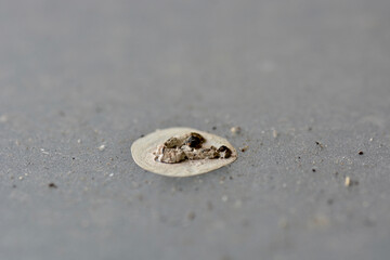 two wedding rings on the sand