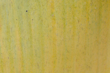 wood texture background