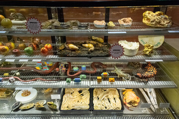 rows of disgustings in a shop