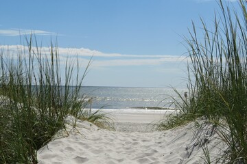 Beautiful view on sand dunes and ocean in Florida beach