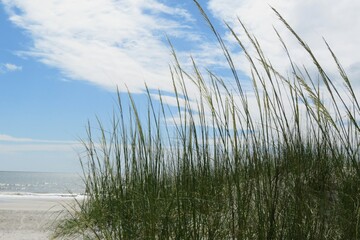 Sand dunes on the beach in Atlantic coast of North Florida