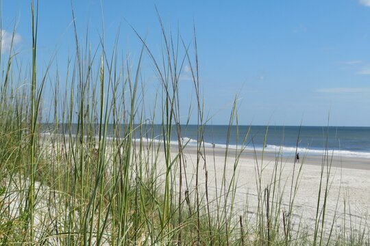 Beautiful Dunes And Ocean View On The Florida Beach