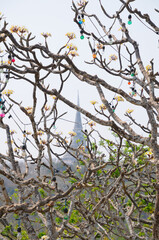 A Tree with Flowers and Light Bulbs