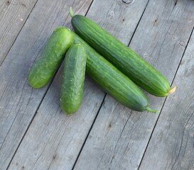 several green cucumbers lies on a wooden table