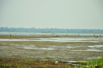 Wetland in Thailand
