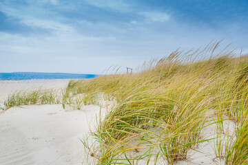 Marram grass blowing in wind on beach in coastal New England USA