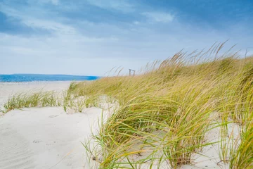 Fotobehang Duinen Marram grass blowing in wind on beach in coastal New England USA  © Brian Scantlebury