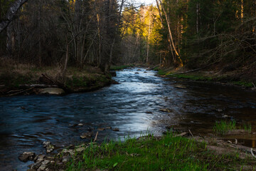 small river in forest with stones at sunset