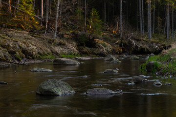 Fototapeta na wymiar small river in forest with stones at sunset