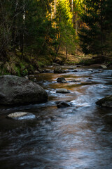 small river in forest with stones at sunset