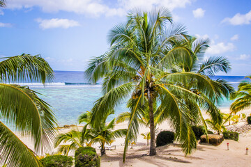 Fototapeta na wymiar Rarotonga stunning beautiful beaches, white sand, clear turquoise water, blue lagoons, Cook islands, Pacific islands