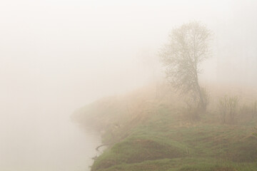 Fototapeta na wymiar misty landscapes
