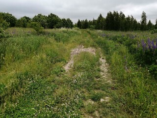 field road village nature park