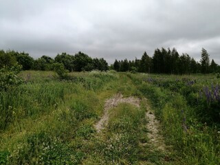 field road village nature park