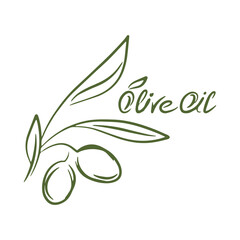 Outline olive branch icon isolated. Doodle kids hand drawing art line. Italy country symbol. Big olive branch with fruits. Food vector illustration. EPS 10