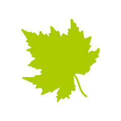 Doodle art leaf icon isolated on white. Canada symbol. Vector stock illustration. EPS 10