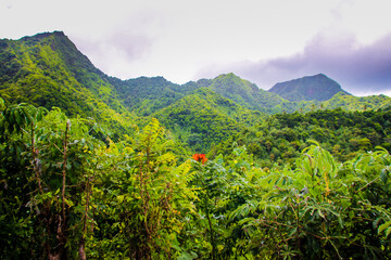 Rarotonga beautiful green tropical mountains, rainforests, scenery, landscapes, Cook islands, Pacific islands