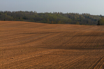 Fototapeta premium Cultivated land in early spring