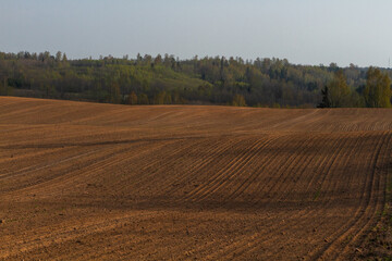  Cultivated land in early spring