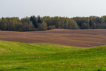 Fototapeta na wymiar Cultivated land in early spring
