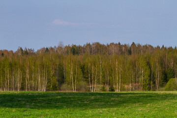 Obraz premium Cultivated land in early spring