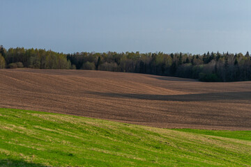  Cultivated land in early spring