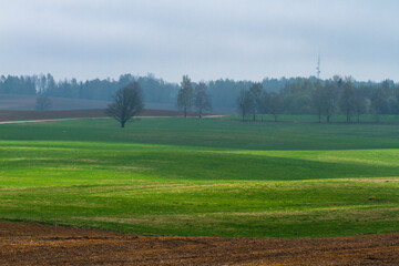 Cultivated land in early spring