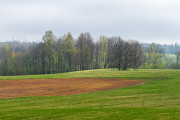  Cultivated land in early spring