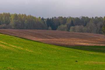 Fototapeta na wymiar Cultivated land in early spring