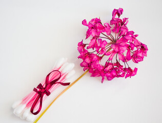 dry pink flower on a light background