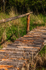 Fototapeta premium Wooden footbridge in the lake
