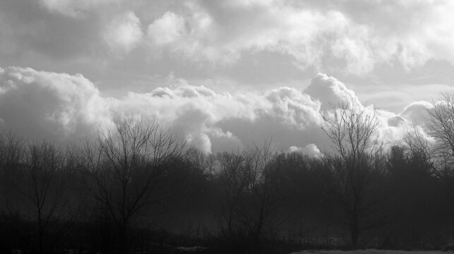 Black and white landscape photo